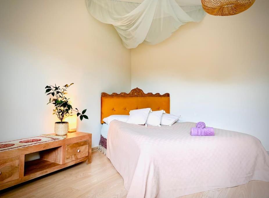 Three Bedroom With Two Terraces For 7People+Baby Каунас Екстериор снимка
