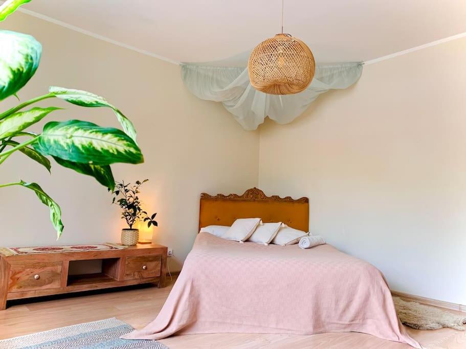 Three Bedroom With Two Terraces For 7People+Baby Каунас Екстериор снимка